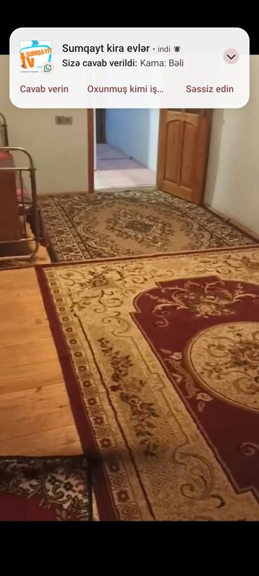 Uzunmüddətli kirayə evlər: 40 kv. m, 1 otaqlı, Kanalizasiya, Kombi, İnternet — 15