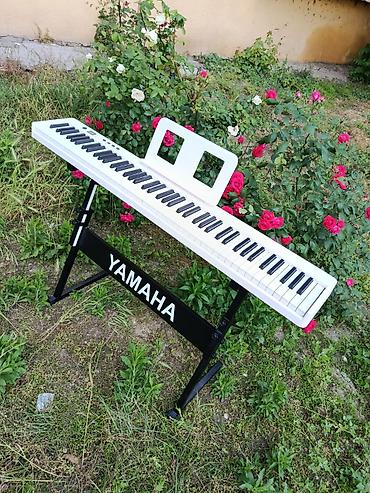 Digər: Təzədir. Elektro piano Pianino kursuna başlayanlar üçün, Fotepiano — 5