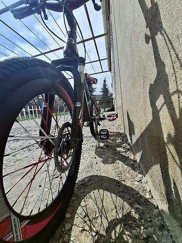 velosiped 28: Uşaq/yeni başlayanlar üçün dağ velosipedi – ANMIER - Açar sözlər — 6
