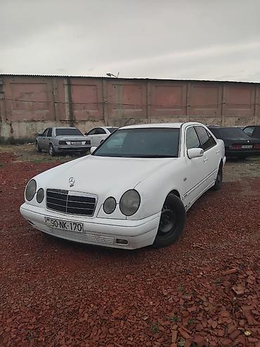 Mercedes-Benz: Mercedes-Benz : 2.5 l | 1996 il — 1