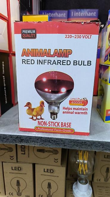 ANIMALAMP Qırmızı İnfraqırmızı Lampa - Gərginlik: 220–230 V - Tip at lalafo.az — 2 ANIMALAMP Qırmızı İnfraqırmızı Lampa - Gərginlik: 220–230 V - Tip — 2