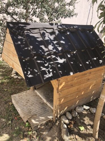 pişik üçün evlər: Taxta it evi - Material: Təbii taxta gövdə, ikitərəfli metal profilli