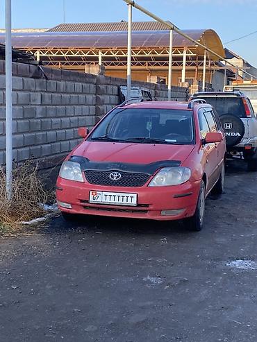 Toyota: Toyota Corolla: 2003 г., 2 л, Автомат, Бензин, Универсал — 1