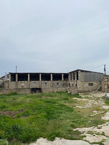 Torpaq: 13 sot, Biznes üçün, Makler, Kupça (Çıxarış) — 2