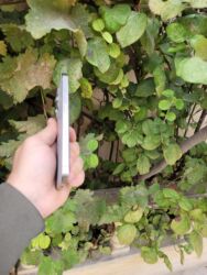 Apple iPhone: IPhone 15 Pro, 128 GB, Natural Titanium, Face ID — 10