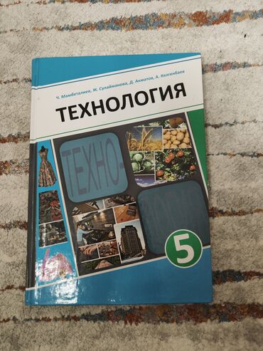 книга гари потер: Учебник по технологии за 5 класс от Д.Аксатов состояние хорошее