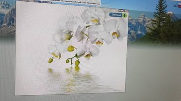 Натяжной потолок: Натяжной потолок Глянцевое, Матовое, 3D потолки Бесплатная консультация, Демонтаж, Бесплатный замер — 9