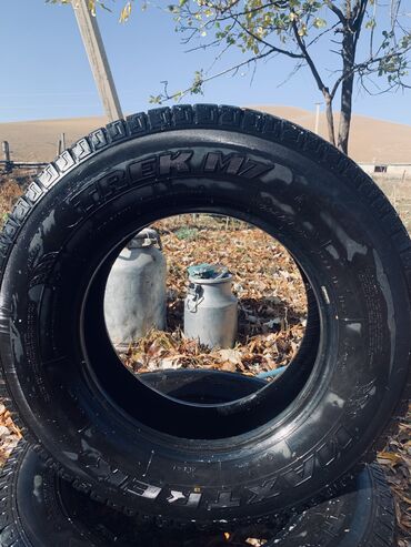 шины тико: Шиналар 225 / 75 / R 16, Кыш, Жаңы, Жеңил коммерциялык транспорт (C/LT), Maxtrek