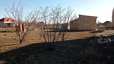 Həyət evləri və villalar: 1 otaqlı, 20 kv. m, Kredit yoxdur, Orta təmir — 1