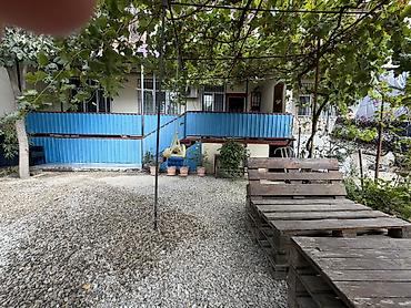 Həyət evləri və villaların satışı: Tecili ev eşyalariyla birlikde satilir Həyətli mənzil – yaşıllıqla — 2