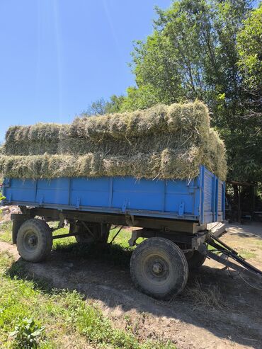 на ферме есть куры козлы и коровы: Экспорцет кара сойлок аралаш сатылат кемин быстровка доставка бар 220