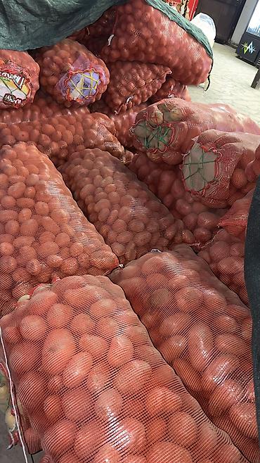 мясо с доставкой бишкек: Картошка Оптом — 2