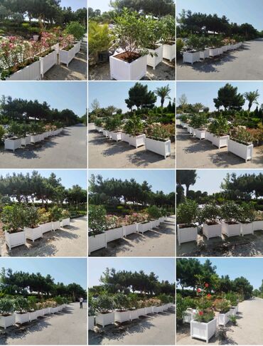 Bitkilər üçün dibçəklər: Taxta dipçəklər Bir başa sexdən.Sex qiymətinə. ♦️Endrim 2025 — 14