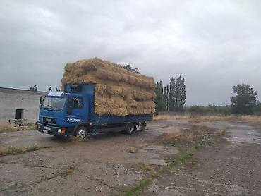 ман тегач: MAN 8.163 тентованный грузовик - Марка/модель: MAN 8.163 - Тип — 6
