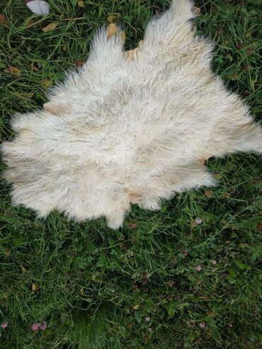 Ковры и паласы: Ковер Новый, Мех, Безналичная/наличная оплата at lalafo.kg — 5 Ковры и паласы: Ковер Новый, Мех, Безналичная/наличная оплата — 5