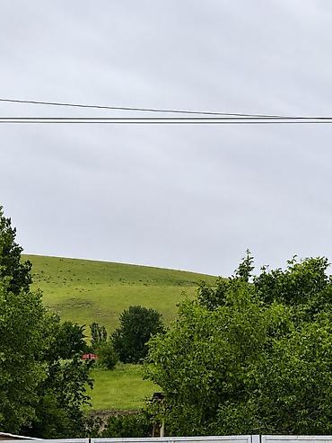 Жер тилкелерин сатуу: 10 соток, Кызыл китеп, Техпаспорт — 4