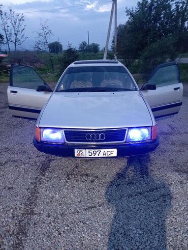 Audi: Audi 100: 1987 г., 2 л, Механика, Газ, Седан