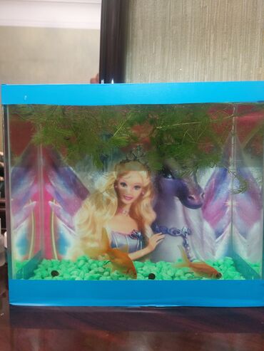 Akvariumlar: Şüşə akvarium – dekorativ fonlu modellər ölçü 30×25×15 Məhsul təsviri — 28