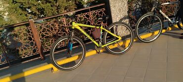 velosped 29: İşlənmiş Şəhər velosipedi 29", sürətlərin sayı: 7