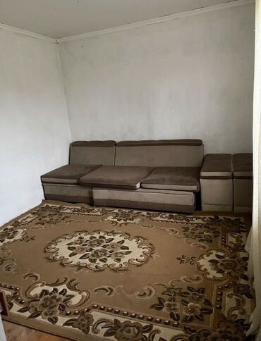 снять квартиру с животными: 18 м²