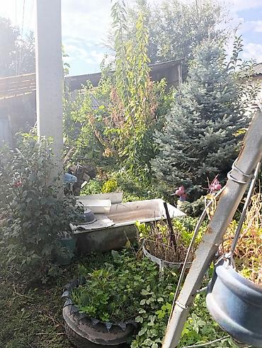 Продажа домов: Продается жилой дом с техническим паспортом и договором купли-продажи — 10