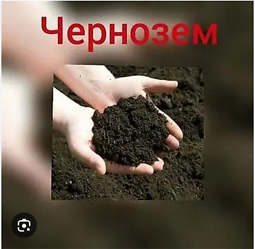 чорнозем купити: В тоннах, Бесплатная доставка, Зил — 1
