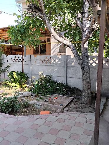 Долгосрочная аренда домов: 80 м², 3 комнаты — 2