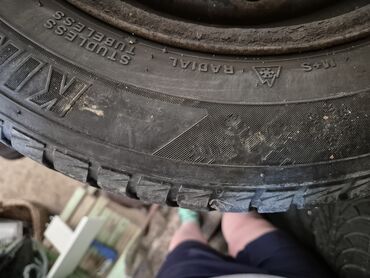 Transport: Tyres & Wheels