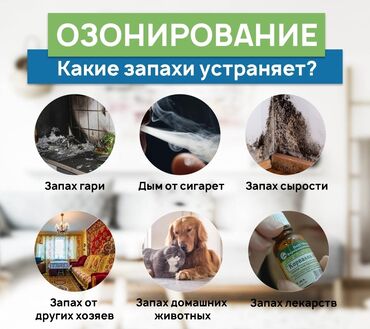 дезинфекция дома от клопов: Дезинфекция, дезинсекция, | Клопы, Блохи, Тараканы, | Офисы, Квартиры, Дома