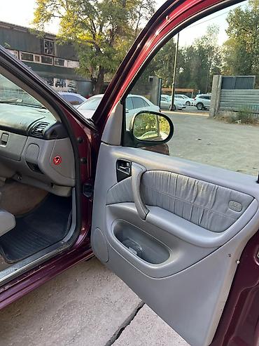 мв 100: Mercedes-Benz M-Class: 2000 г., 4.3 л, Автомат, Бензин, Кроссовер — 3