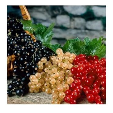 Başqa xidmətlər: Здравствуйте . Готовлю у себя дома заготовки на зиму . Все готовлю сам — 7