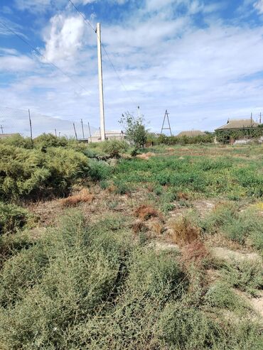 Torpaq sahələrinin satışı: 30 sot, Kənd təsərrüfatı, Mülkiyyətçi, Bələdiyyə — 8