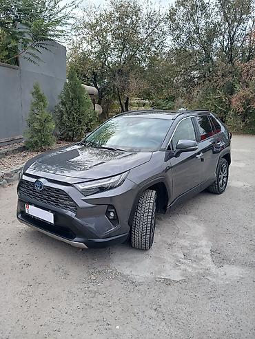 рафы: Toyota RAV4: 2022 г., Автомат, Гибрид, Кроссовер — 1