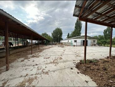 повилон аренда: Продаю Ферма КРС, 61 соток, Действующий, С оборудованием, Холодная вода, Электричество
