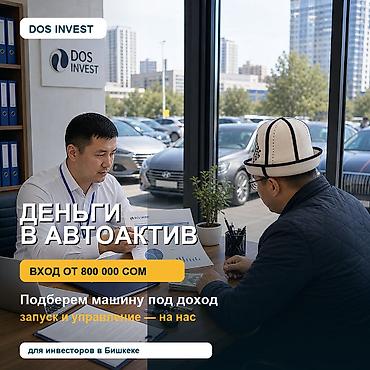 Готовый бизнес: Инвестиционный сервис DOS INVEST: деньги в автоактив - Вход от 800 — 1