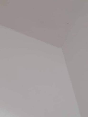 Kućna hemija i proizvodi za kuću: 🌿 PDP koncentrat – efikasno protiv buđi! 🌿 Za zdrav i čist dom bez — 8