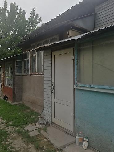 ала то: 2 соток, Красная книга — 4