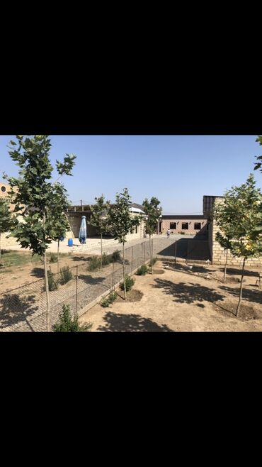 Kommersiya daşınmaz əmlakının satışı: Gəncə şəhərində obyekt icareye verilir. Fikri ciddi olan sexsler nomre — 5