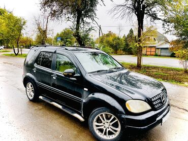 полу присеп: Mercedes-Benz M-Class: 2001 г., 4.3 л, Автомат, Газ, Кроссовер