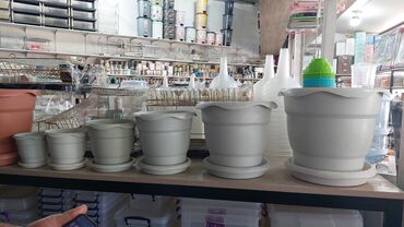 Bitkilər üçün dibçəklər: Dipçekler Gül qabilar ferqli modeller ferqli ölçulerde 1 aznden — 3