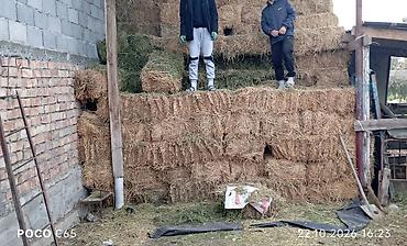 тюки сена с поля: Сено и люцерна в тюках метровые сокулук - Кормовые тюки — 1