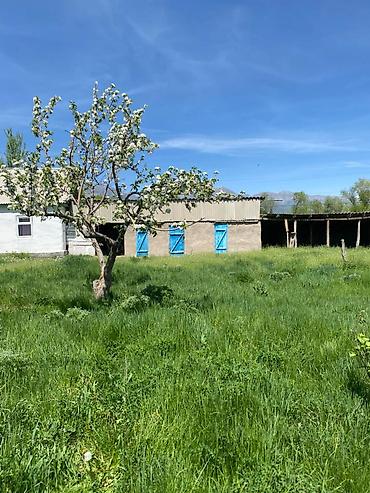 Продажа коттеджей и домов: 🏡 ҮЙ САТЫЛАТ | Түп жергеси Түп жергесинде 16 сотых жер тилкеси менен at lalafo.kg — 9 Продажа коттеджей и домов: 🏡 ҮЙ САТЫЛАТ | Түп жергеси Түп жергесинде 16 сотых жер тилкеси менен — 9