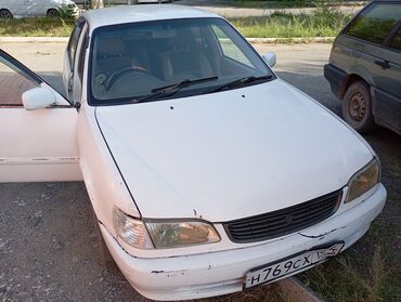 таета королла: Toyota Corolla: 2000 г., 1.3 л, Автомат, Бензин, Седан