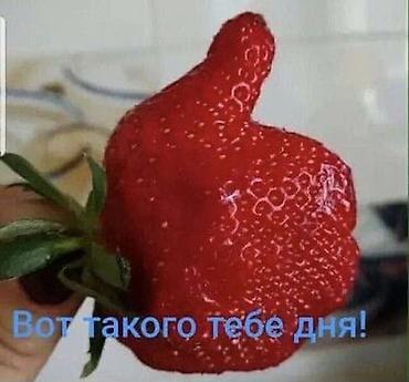 Клубника