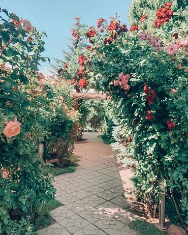 Рестораны, кафе: Продается стильное и современное кафе на первой линии в центре — 11