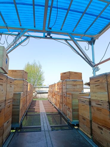 требуется упаковшик: Продаю вощину дадан-руто.Цена договорная,звонить узнавать