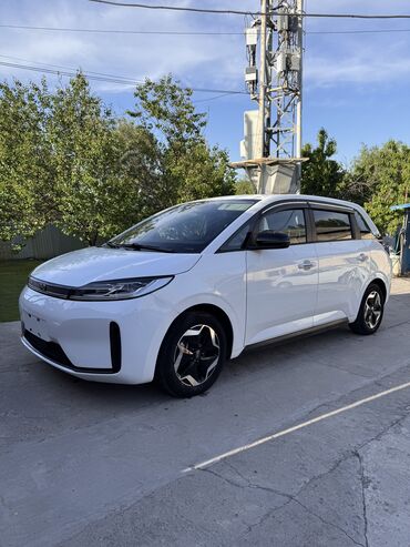 BYD: BYD : 2021 г., 0.1 л, Вариатор, Электромобиль, Универсал
