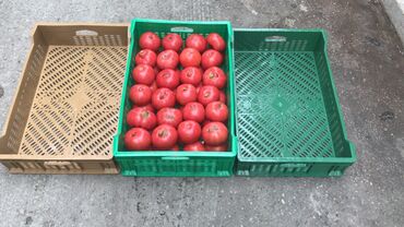 Digər mağaza avadanlığı: Plastik yeşik(tara,sebet,yesik,qutu) istehsalı. ölçülər 60/40/10sm — 17