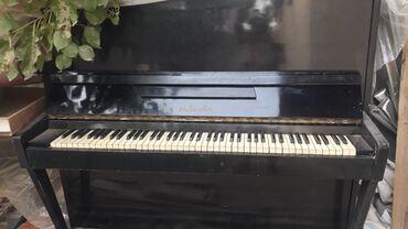 Akkordeonlar: Digər musiqi alətləri
