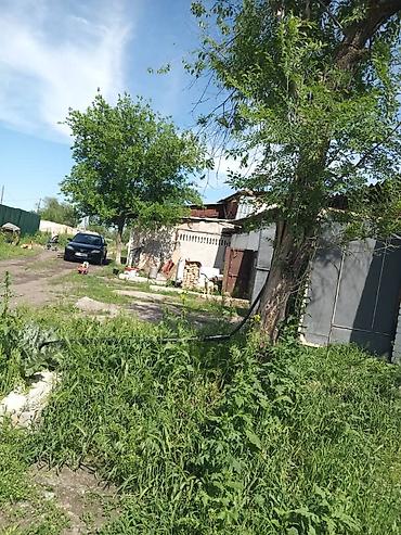 Продажа сельхоз предприятий: Продаётся фермерский объект под содержание крупного рогатого скота. - — 7